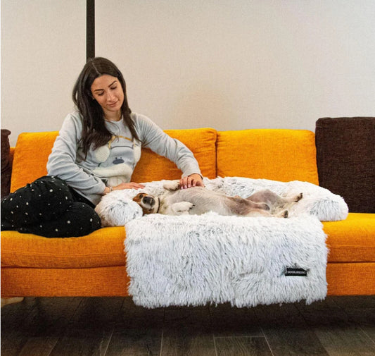 Paw Zen - Calming Pet Furniture Protector
